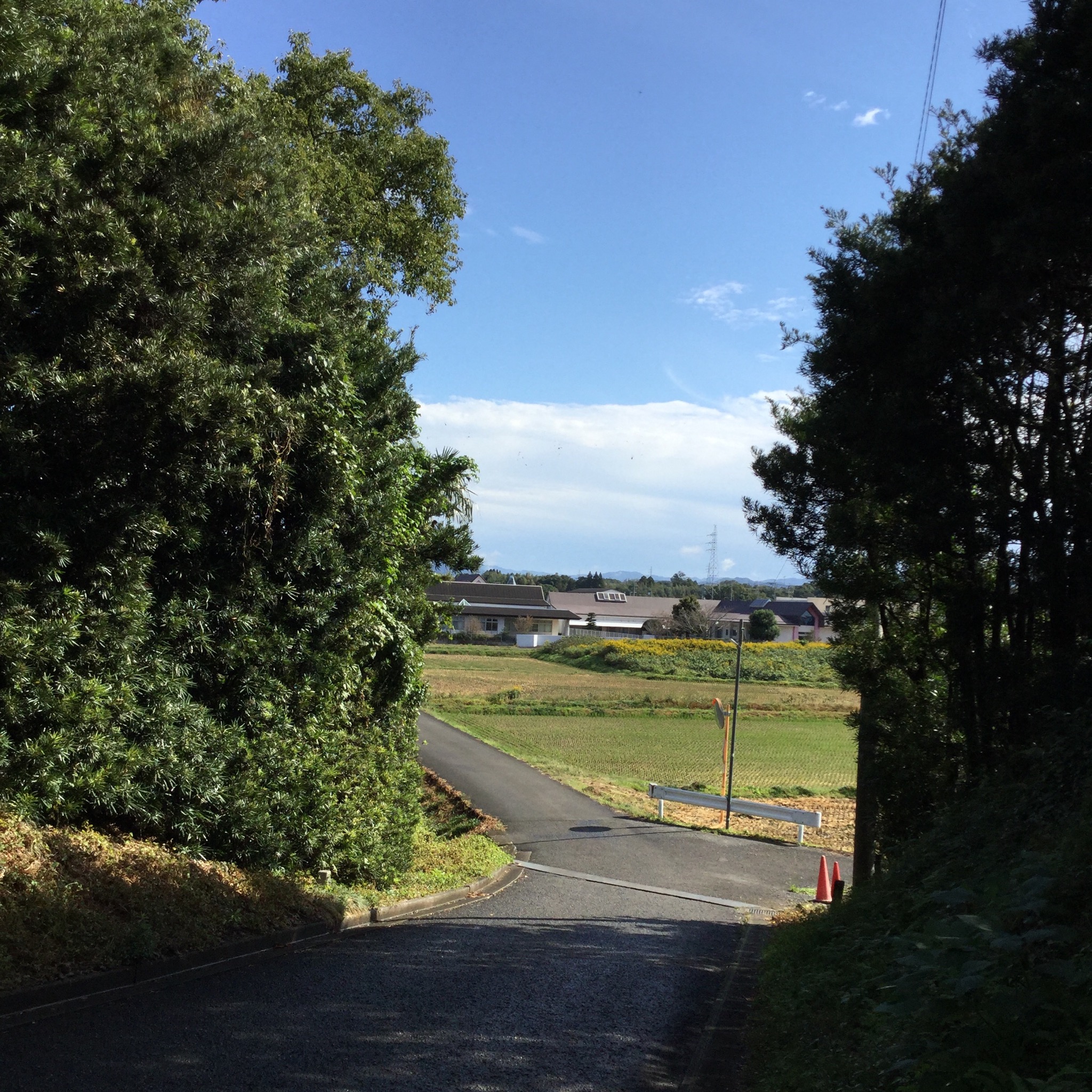 出水市高尾野,もみじ温泉へ 言葉 出水市高尾野,もみじ温泉へ 言葉